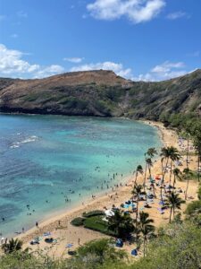海外のビーチの画像
